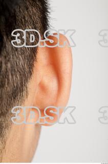 Ear texture of Wade 0001